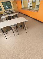 Polyflor Polysafe Standard (SF)